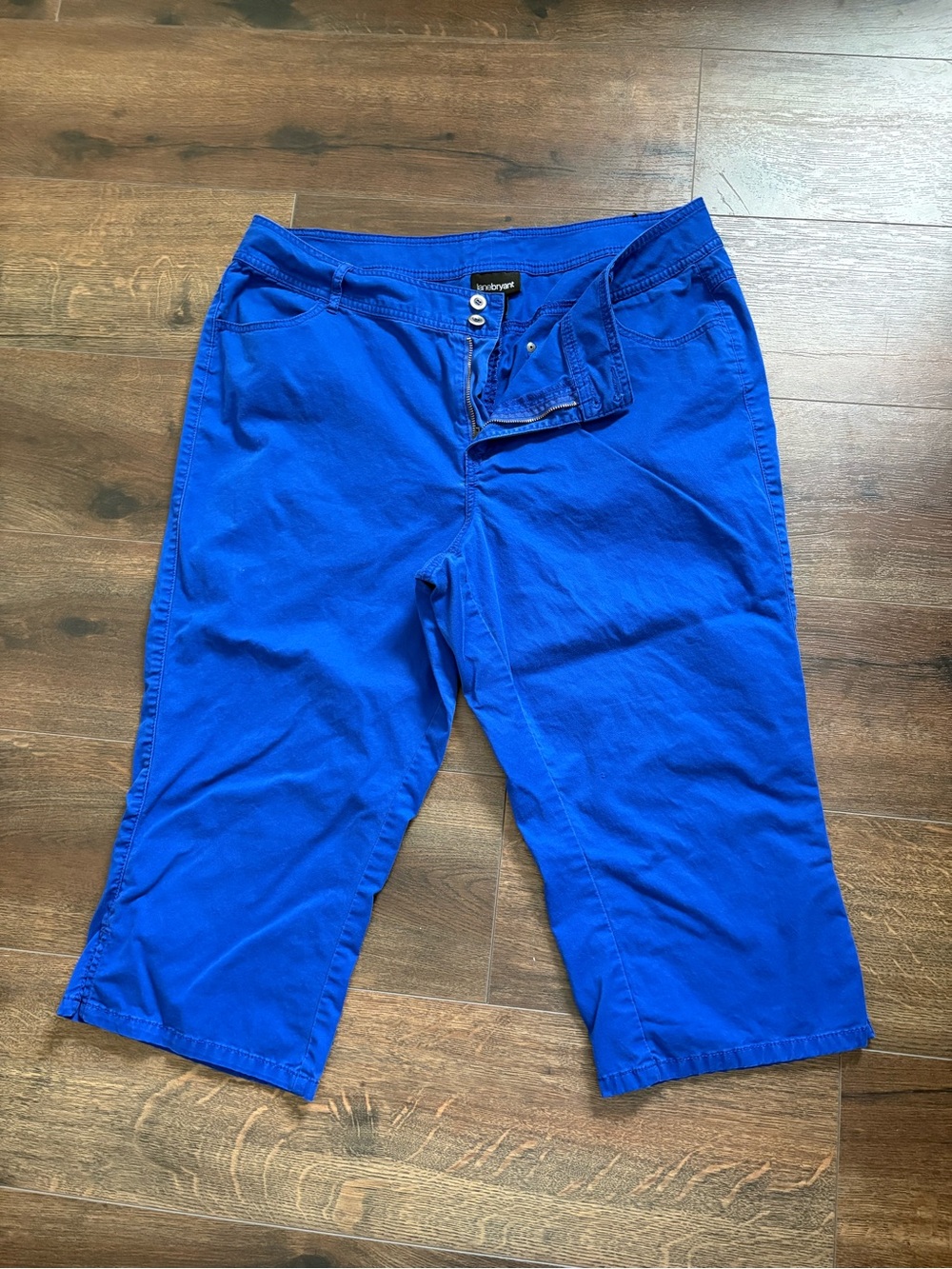 Lane Bryant Bright Royal Blue m Cotton Blend Chinos Capris